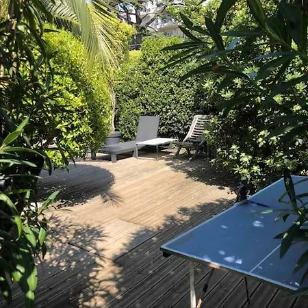 Enjoy Provence In The Time -calm-flavours-cul Cannes