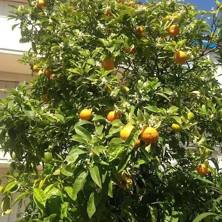 Apartment Enjoy Provence In The Time -calm-flavours-cul *